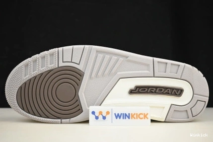 Jordan Air 3 CT8532-102 "Palomino" 1019